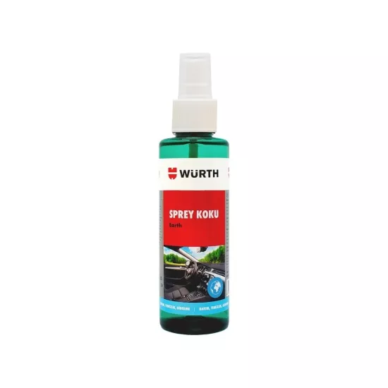Würth ARAÇ KOKUSU EARTH 150ML